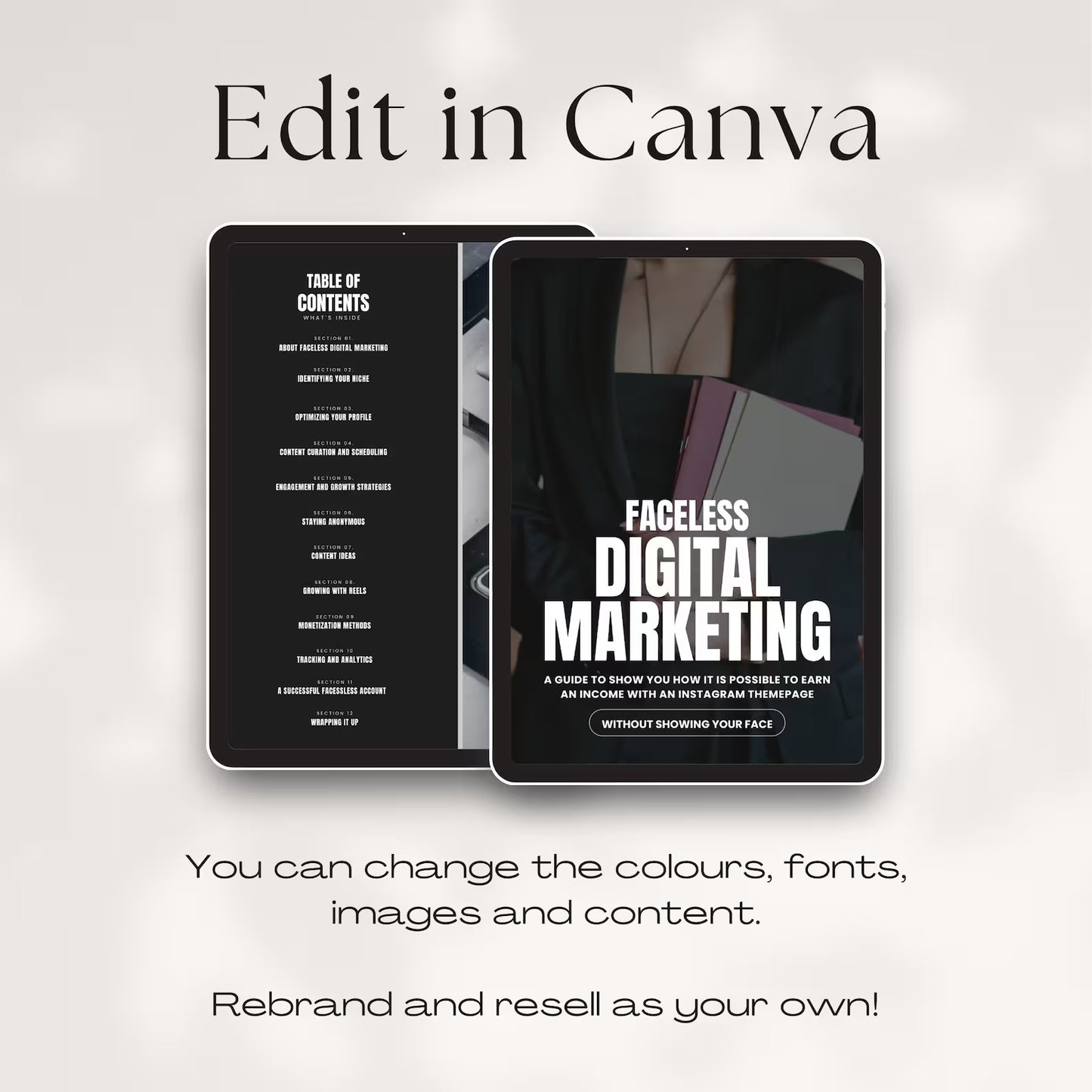 Faceless Digital Marketing Guide to Success with PLR and MRR Rights