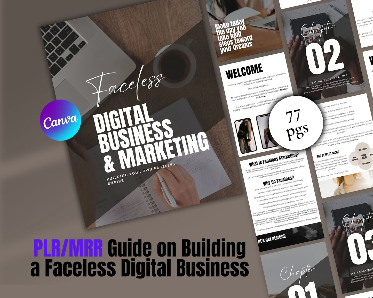 DFY Digital Product Vault - Master Resell Rights